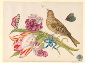 Oiseau avec tulipe, œillet, papillons et insecte