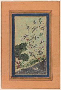 Oiseaux à Baran, peut-être du Babur-nama - Unknown artist