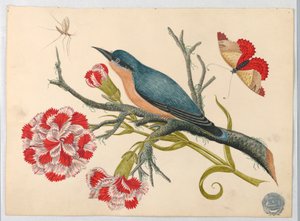Oiseau bleu sur une branche avec des œillets et des insectes