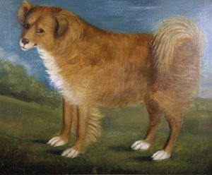 Chien brun dans un paysage, vers 1850 - Unknown artist