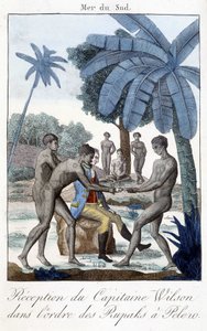 Réception du capitaine Wilson dans l