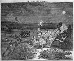 Capture de tortues sur la côte de Cuba - gravure du 19ème siècle