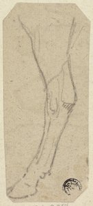 Jambe de vache