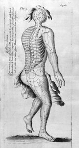 De Acupunctura
