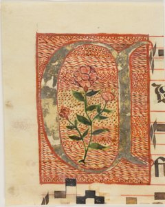 Initiale "A" décorée d
