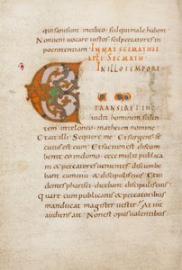 Initiale C décorée - Unknown artist