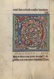Initiale D décorée - Unknown artist