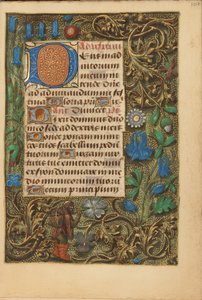 Initiale D décorée - Unknown artist