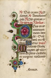 Initiale décorée D ; Initiale décorée M