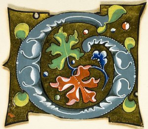 Initiale "G" décorée en gris avec des feuilles rouges, vertes et bleues provenant d