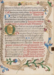 Initiale O décorée - Unknown artist