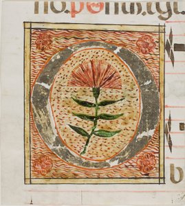 Initiale "O" décorée de fleurs provenant d