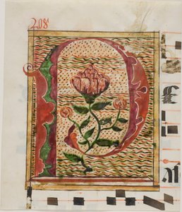 Initiale "P" décorée de fleurs provenant d
