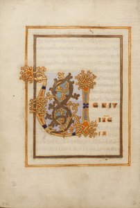Initiale V décorée - Unknown artist