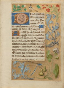 Page de texte décorée