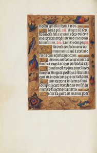 Page de texte décorée - Unknown artist