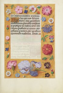 Page de texte décorée - Unknown artist