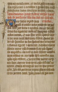 Page de texte décorée - Unknown artist