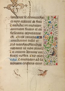 Page de texte décorée - Unknown artist