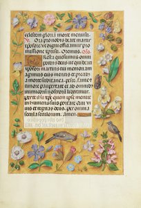 Page de texte décorée
