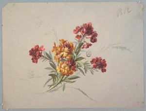 Design pour papier peint et textile : Fleurs - Unknown artist