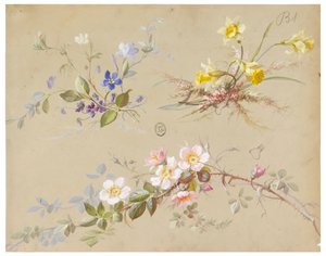 Design pour Papier Peint et Textile : Fleurs - Unknown artist