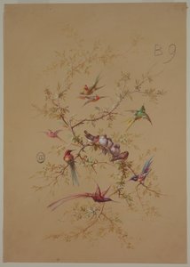 Design pour papier peint et textile : Fleurs et oiseaux - Unknown artist