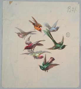 Conception pour papier peint et textiles : Oiseaux - Unknown artist