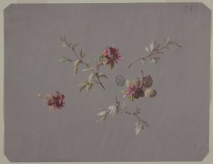 Design pour papier peint et textiles : Fleurs