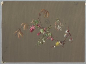 Conceptions pour Papier Peint et Textiles : Fleurs