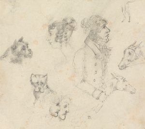 Chiens, gens et chevaux