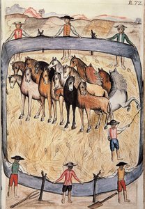 Dressage de chevaux sauvages, du livre "Trujillo del Peru" ou "Códice Martínez Compañón", par Baltazar Martinez Compañón y Bujanda, évêque de Trujillo (1782-1785) - Unknown artist