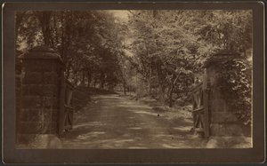 [Entrée de Silver Spring] - Unknown artist