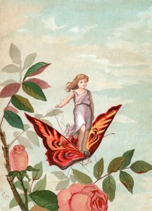Fée chevauchant un papillon parmi les roses - Unknown artist