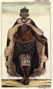 Membre féminin de la tribu sud-africaine des Hottentots, gravure de 1820 - Unknown artist