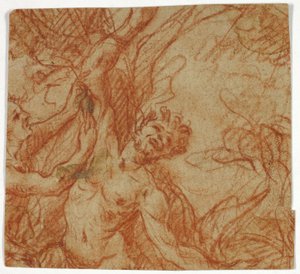 Écorchement de Marsyas