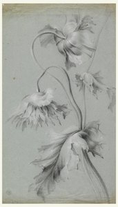 Motif floral - Unknown artist