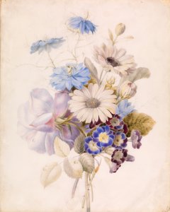 Fleurs avec des marguerites
