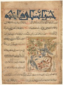 Folio d