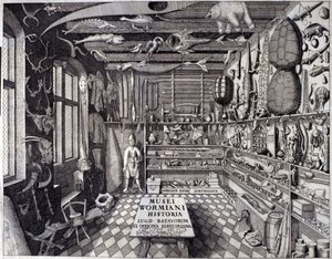 Frontispice de Musei Wormiani Historia - Unknown artist