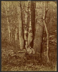 [Fille assise entre deux arbres]