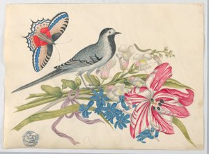 Oiseau gris sur une branche avec tulipe, mufliers et myosotis avec papillon