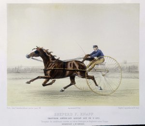 Équitation : Berger F. Knapp, trotteur - dans "le Centaure"