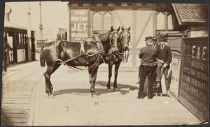 [Chevaux à l
