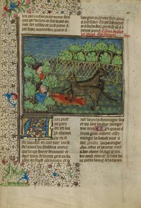 Les chasseurs attirent les loups avec des charognes - Unknown artist