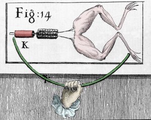 Illustration des expériences de Luigi Galvani, physicien et médecin italien (1737 - 1798) expliquant le passage du courant électrique déplaçant les pattes d