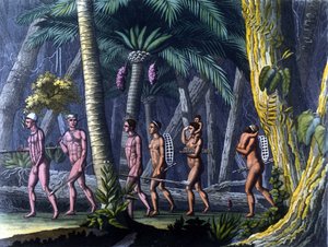 Indiens Puris dans la forêt (Brésil) - dans « Le costume ancien et moderne » par Ferrario, éd. Milan