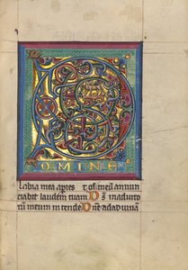Initiale D : Un chien - Unknown artist