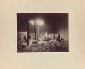 [Intérieur du centre de triage de la laine, Walter Brown and Company].