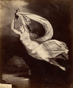 [Iris transportant l